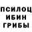 Псилоцибиновые грибы Psilocybe Thrash Metalmaz