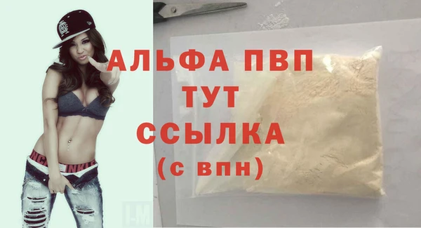 тгк Абаза