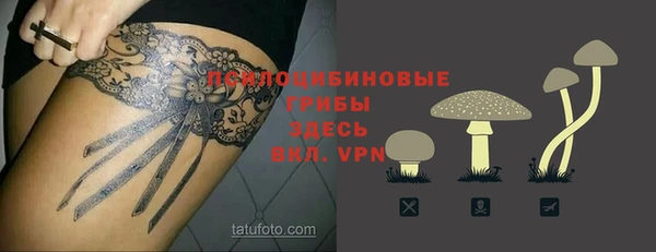 твердый Медногорск