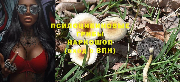 тгк Абаза